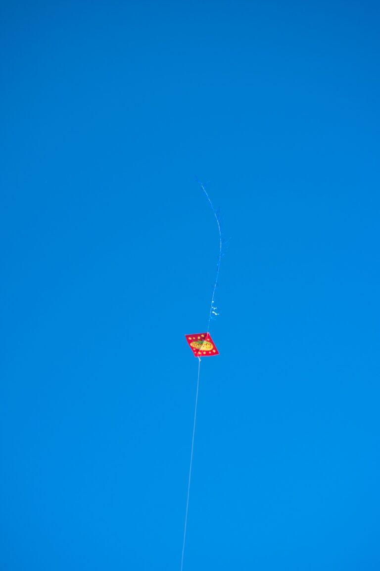07- 30 Jul. Festival de Pipas - Por Thais Coelho (139).jpg